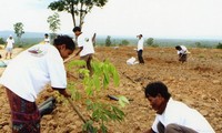 Việt Nam mở rộng đầu tư trồng cao su tại Lào