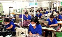 Trao đổi thương mại giữa Việt Nam và Chile tăng kỷ lục