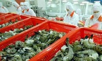 Hội nghề cá Việt Nam phản đối quyết định áp thuế trợ giá tôm Việt Nam