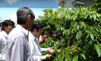 Chủ tịch nước Trương Tấn Sang thăm xã điểm nông thôn mới ở Lâm Đồng 