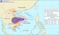 Các tỉnh miền Trung chủ động đối phó với bão số 8