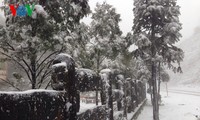 Tuyết rơi dày đặc ở Sapa (Lào Cai)