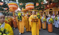 Các tôn giáo ở Việt Nam tự do, bình đẳng