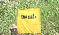 Khắc phục ô nhiễm dioxin tại sân bay Biên Hòa, tỉnh Đồng Nai