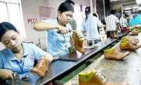 Việt Nam thu hút nhiều đơn hàng từ các thương hiệu giầy lớn