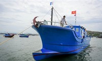 Tỉnh Khánh Hòa hợp tác với doanh nghiệp Nhật Bản khai thác cá ngừ
