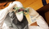 Bộ Y tế ban hành Kế hoạch hành động phòng chống bệnh sốt xuất huyết do vi rút Ebola tại Việt Nam
