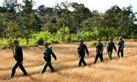 Các hoạt động kỷ niệm 70 năm thành lập Quân đội nhân dân Việt Nam ở trong và ngoài nước