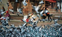 Thành phố Hồ Chí Minh: Triển lãm ảnh “Hướng về Nepal” 