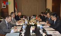 Việt Nam và Ai Cập họp tham vấn chính trị 