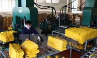 Việt Nam quảng bá sản phẩm ưu thế tại khu vực Tây Nam Trung Quốc