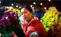Chợ hoa đêm Quảng Bá - phiên chợ độc đáo của đất Hà thành