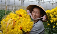 Ấn tượng du lịch nông nghiệp công nghệ cao ở Đà Lạt, Lâm Đồng 