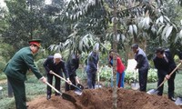 Tổng Bí thư Nguyễn Phú Trọng dâng hương tưởng niệm Chủ tịch HCM và trồng cây lưu niệm tại K9