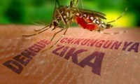 Phụ nữ tuổi sinh đẻ đi từ vùng dịch Zika về Việt Nam sẽ được xét nghiệm miễn phí