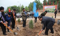 Nhiều địa phương tổ chức phát động Tết trồng cây nhân dịp Xuân Bính Thân 
