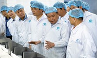 Thủ tướng Nguyễn Xuân Phúc thăm mô hình chế biến tôm tại Tập đoàn Thủy sản Minh Phú, Cà Mau 