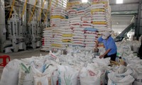 Việt Nam trao tặng 5000 tấn gạo cho Cuba