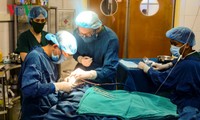 Khám và phẫu thuật miễn phí cho 180 trẻ em khuyết tật của tỉnh Điện Biên