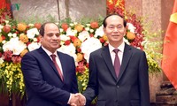 Trang sử mới trong quan hệ Việt Nam - Ai Cập