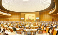 Quốc hội thảo luận ở tổ về tình hình kinh tế-xã hội