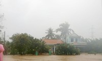 Thủ tướng Chính phủ ra công điện khắc phục hậu quả bão Damrey