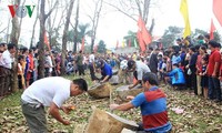 Quảng Trị: Độc đáo Hội thi chẻ đá đầu Xuân