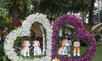 Bế mạc Hội hoa Xuân Mậu Tuất tại Thành phố Hồ Chí Minh
