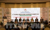 Việt Nam tham dự Hội nghị Lãnh đạo nông nghiệp toàn cầu tại Ấn Độ
