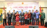 Cộng đồng người Việt Nam ở nước ngoài đón Xuân Kỷ Hợi 2019