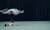 Nghệ sỹ Việt - Hàn trình diễn múa liên hợp “Sắc màu vũ điệu”