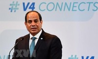 Ai Cập tin tưởng vào mối quan hệ hợp tác với Việt Nam