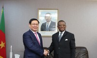 Việt Nam muốn tăng cường hợp tác nhiều mặt với Cameroon