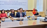 Tọa đàm trực tuyến: “Việt Nam: Cơ hội đầu tư, kinh doanh sau đại dịch COVID-19”