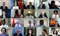 Việt Nam và HĐBA: Việt Nam kêu gọi cộng đồng quốc tế giúp Syria ứng phó COVID-19