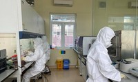 Phát hiện chủng biến thể mới của SARS-CoV-2 ở Anh trên bệnh nhân ở Hải Dương, Quảng Ninh