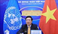 Việt Nam cam kết tiếp tục đóng góp hết sức mình vào nỗ lực chung cùng các nước vượt qua đại dịch