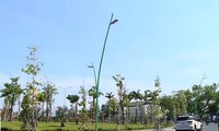 Khởi động chiến dịch trồng cây xanh Greenup Việt Nam
