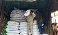 Đề xuất hỗ trợ hơn 130 nghìn tấn gạo cứu đói cho hơn 8,6 triệu dân