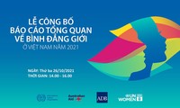 Báo cáo đầu tiên về những tiến bộ và rào cản về bình đẳng giới ở Việt Nam
