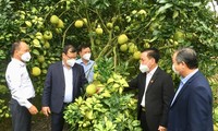Bắc Giang xúc tiến tiêu thụ nông sản an toàn trong điều kiện dịch Covid 19
