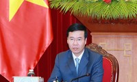 Việt Nam và Nhật Bản tiếp tục phối hợp trong các vấn đề ở khu vực và quốc tế