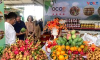 Hơn 1.300 sản phẩm nông sản các vùng miền được giới thiệu tại Festival trái cây, sản phẩm OCOP Việt Nam 2022