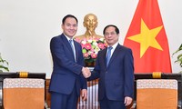 Tham khảo Chính trị cấp Thứ trưởng Ngoại giao Việt Nam - Mông Cổ lần thứ 10 