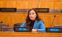 Việt Nam nhấn mạnh quyền sử dụng năng lượng hạt nhân và khoảng không vũ trụ vì mục đích hoà bình