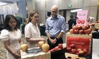 New Zealand khởi động chiến dịch bán lẻ “Made With Care” tại Việt Nam