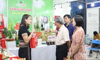 300 gian hàng trưng bày tại Hội chợ Quốc tế thương mại, du lịch và đầu tư Hành lang kinh tế Đông Tây Đà Nẵng 2023