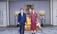 Bộ trưởng Ngoại giao Bùi Thanh Sơn đến chào Thủ tướng Thái Lan, tiếp kiến Công chúa Thái Lan