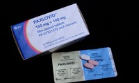Pfizer to price COVID treatment Paxlovid at 1,390 USD per course
