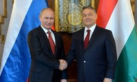 Россия и Венгрия расширяют сотрудничество в области энергетики